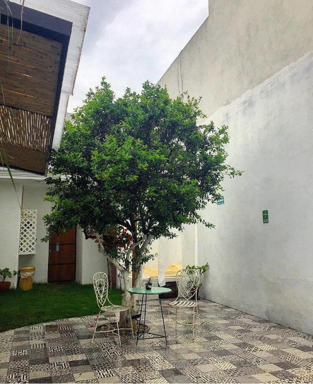 Hoja Santa Hostal Boutique Cholula Exterior foto
